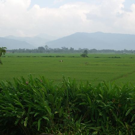 Rico Resort Chiang Kham المظهر الخارجي الصورة