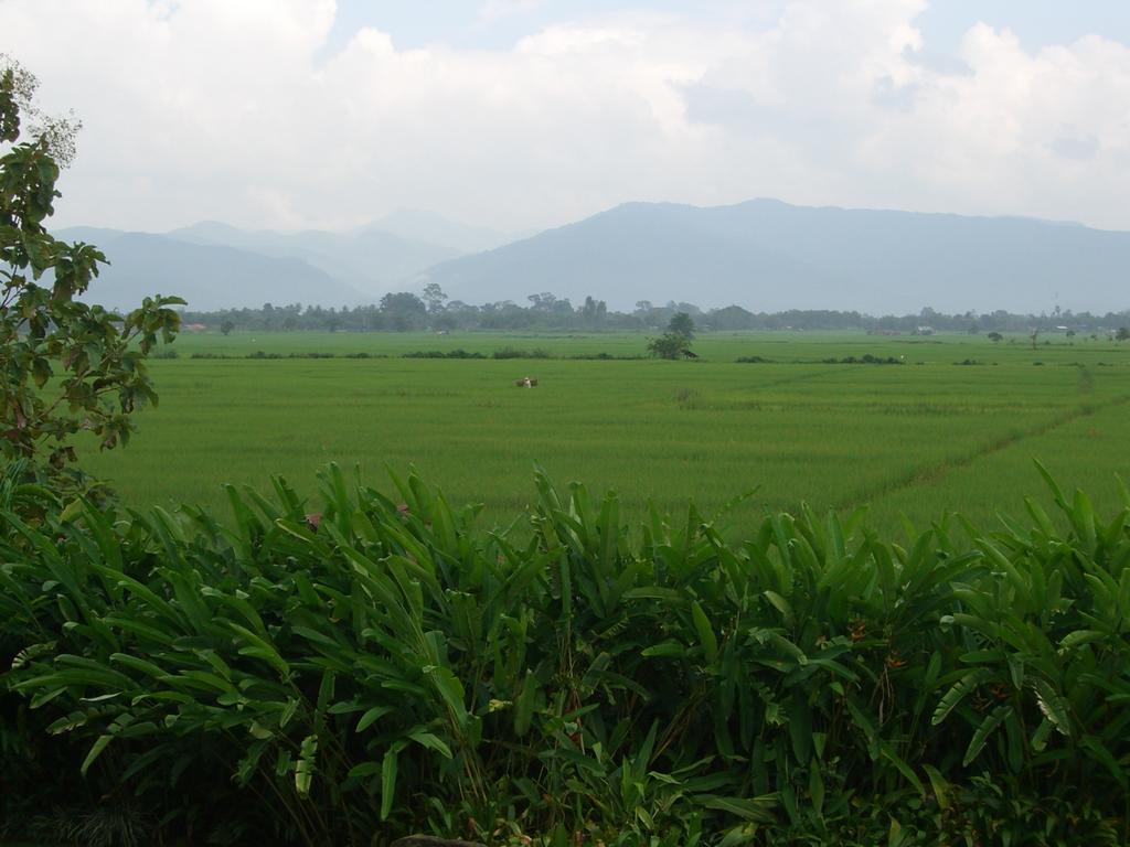 Rico Resort Chiang Kham المظهر الخارجي الصورة